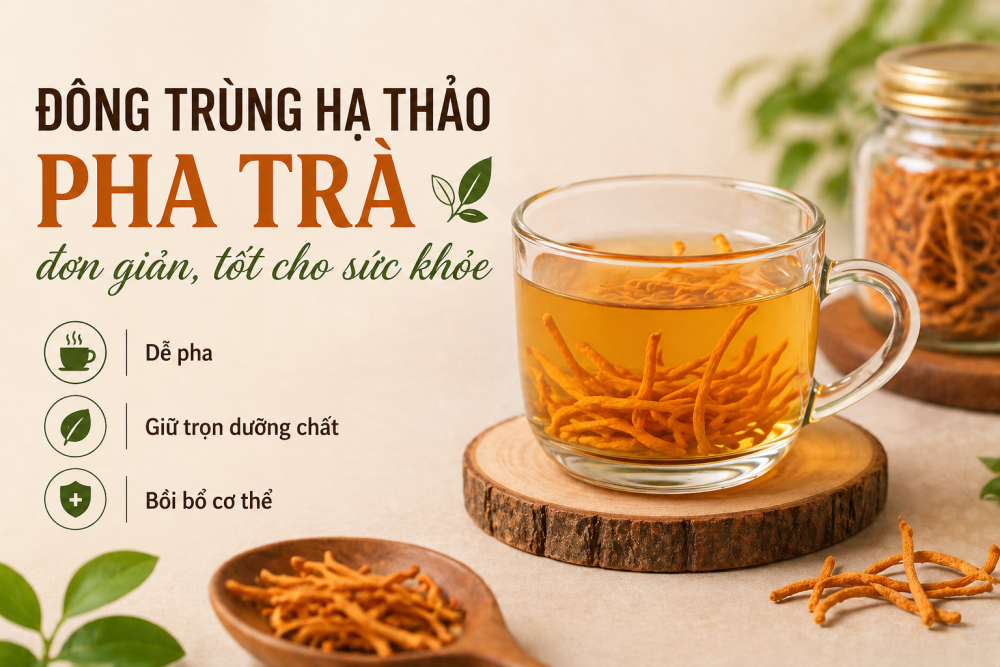 Bí quyết pha trà đông trùng hạ thảo đúng cách, giữ trọn tinh túy