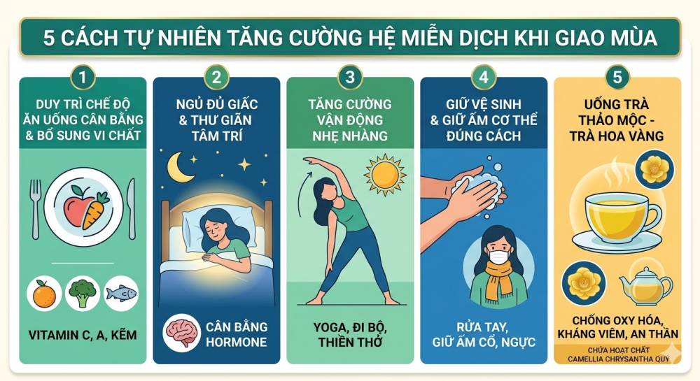 Tăng Cường Hệ Miễn Dịch Khi Giao Mùa