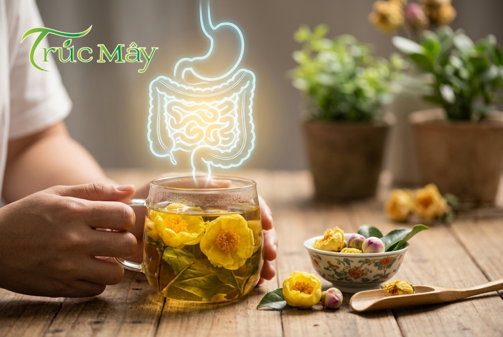 Hiểu Về Cơ Chế Sinh Học Để Làm Chủ Hệ Tiêu Hóa Khỏe Mạnh