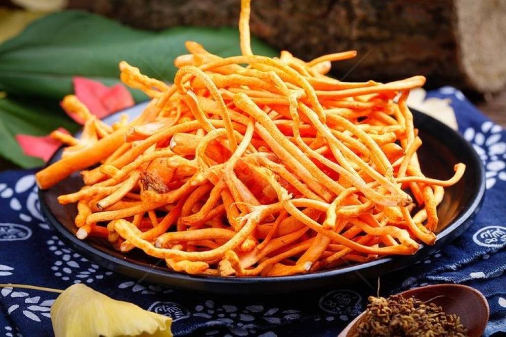 Cách Phân Biệt Đông Trùng Hạ Thảo Chất Lượng